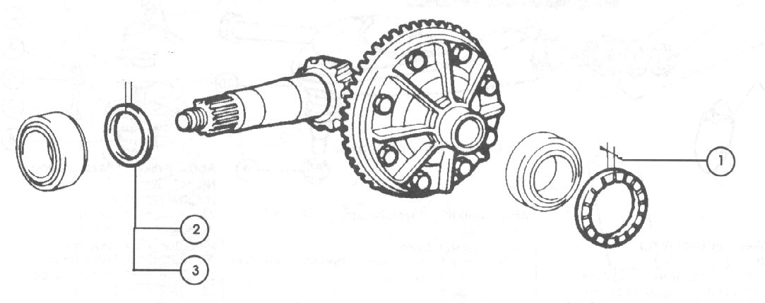 Differential – 1978-85